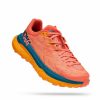 Footwear * | Hoka Women'S Tecton X (Cbcrl Camellia/Blue Coral)