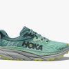 Footwear * | Hoka Women'S Challenger Atr 7 (Mgtr Mist Green/Trellis)