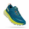 Footwear * | Hoka Men'S Stinson Atr 6 (Bcbt Blue Coral/Butterfly)